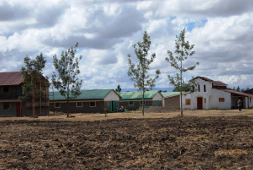 A wide view of Jubilee Children's Center buildings with some graceful small trees