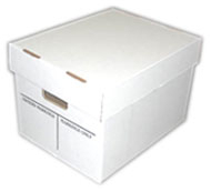 Standard File Box