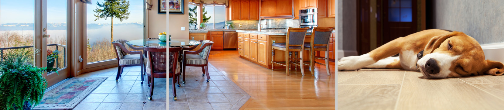 Two photos: a gorgeous dining room and kitchen with segmented tile areas, a sweet dog naps on a hardwood floor