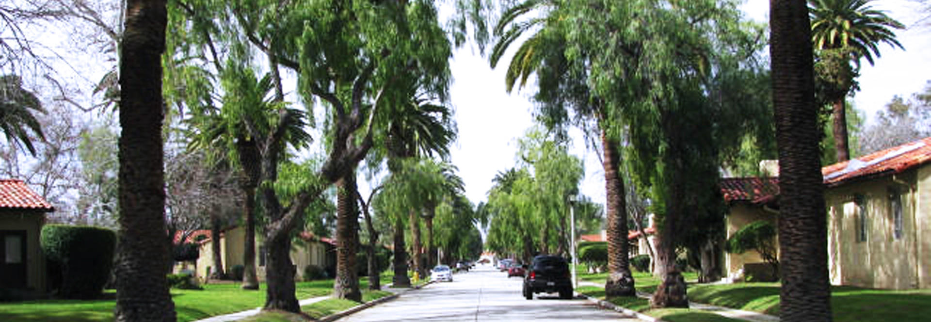 A Beautiful Community