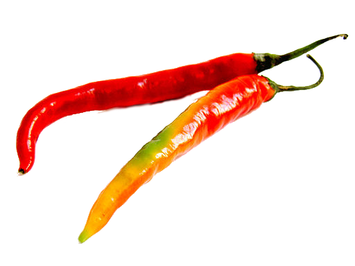 Slim, fresh red chiles